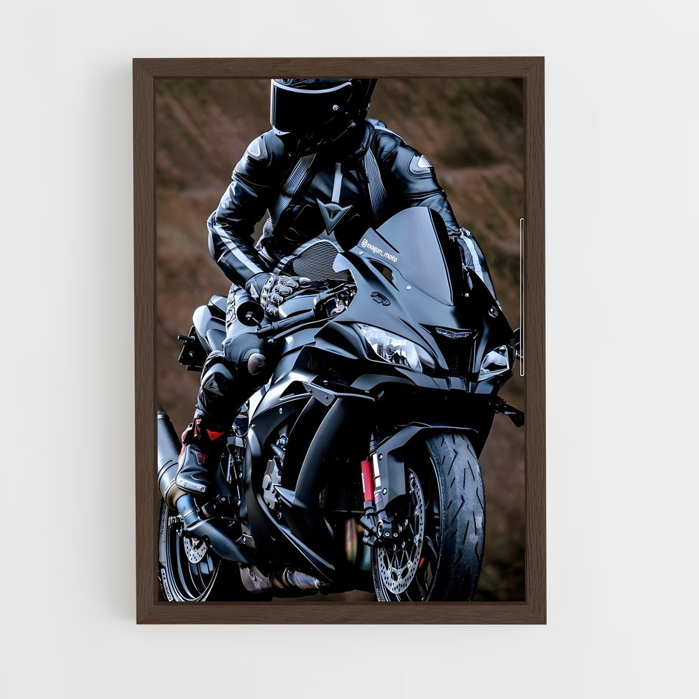 Poster Ninja Mystique H2 (vue 5)